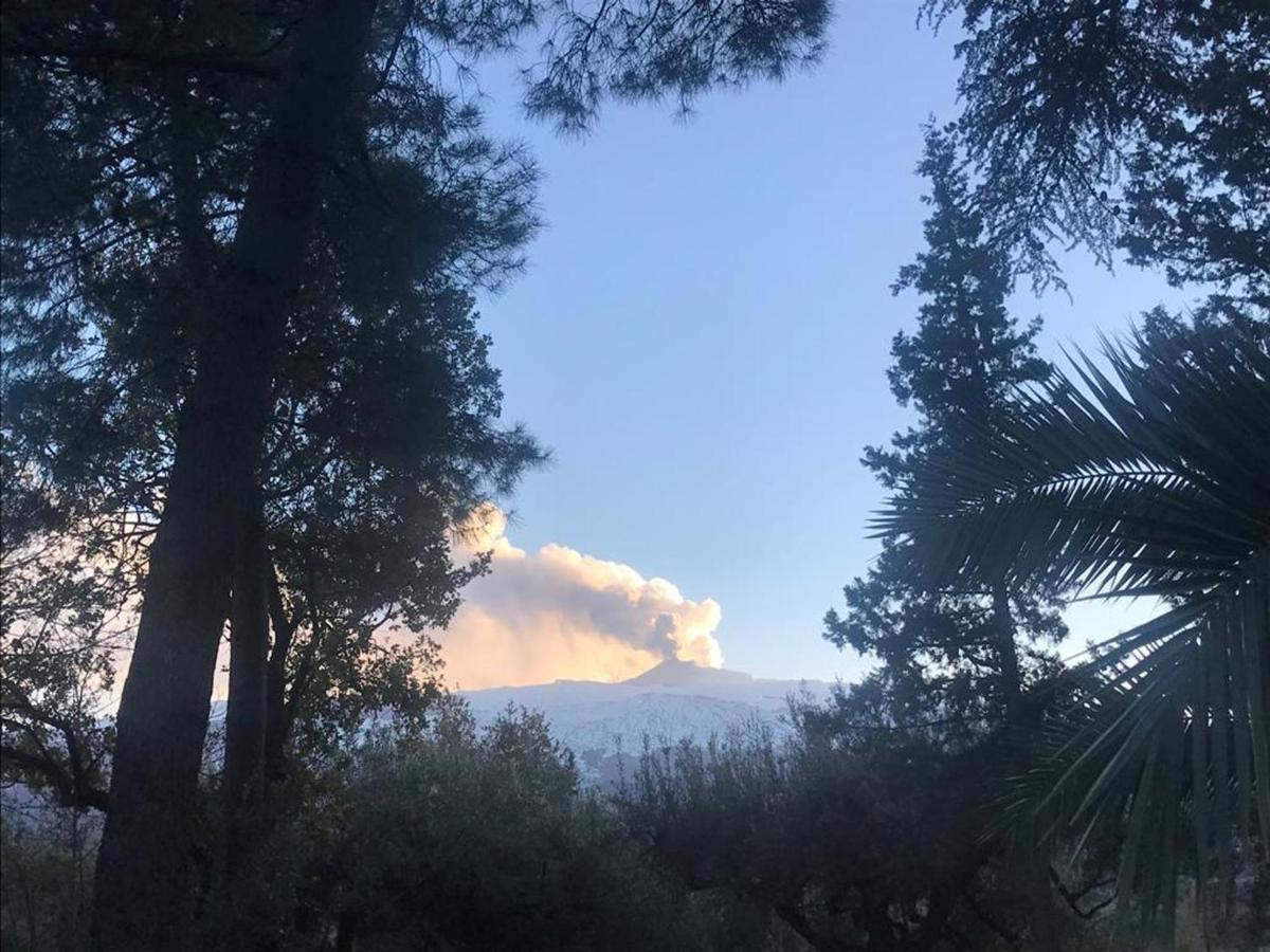 Agriturismo Sole Di Sicilia Рандаццо Экстерьер фото