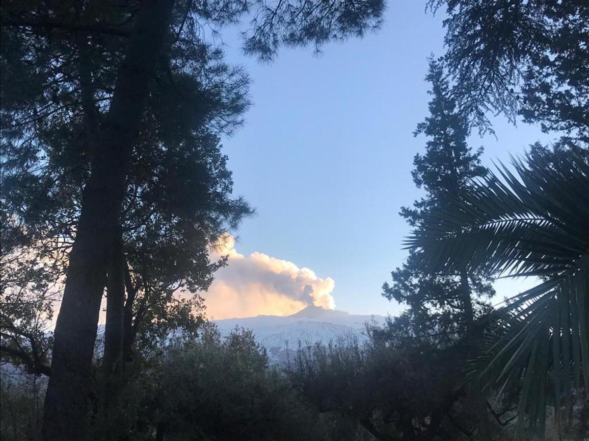 Вилла Agriturismo Sole Di Sicilia Рандаццо Экстерьер фото